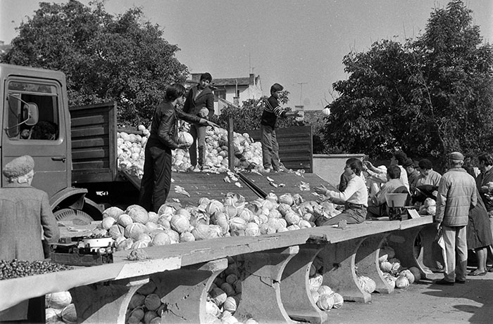 minerva_1988_industrie_c5r14_022