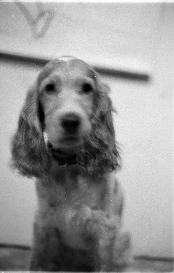 minerva_1988_industrie_c5r3_010