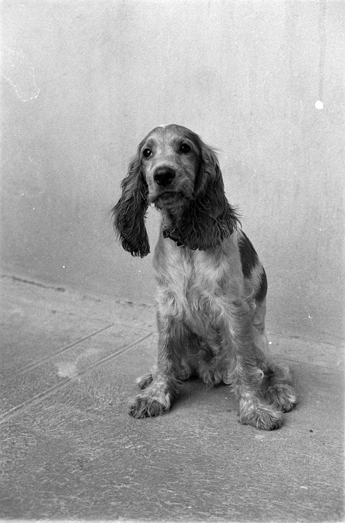 minerva_1988_industrie_c5r3_023