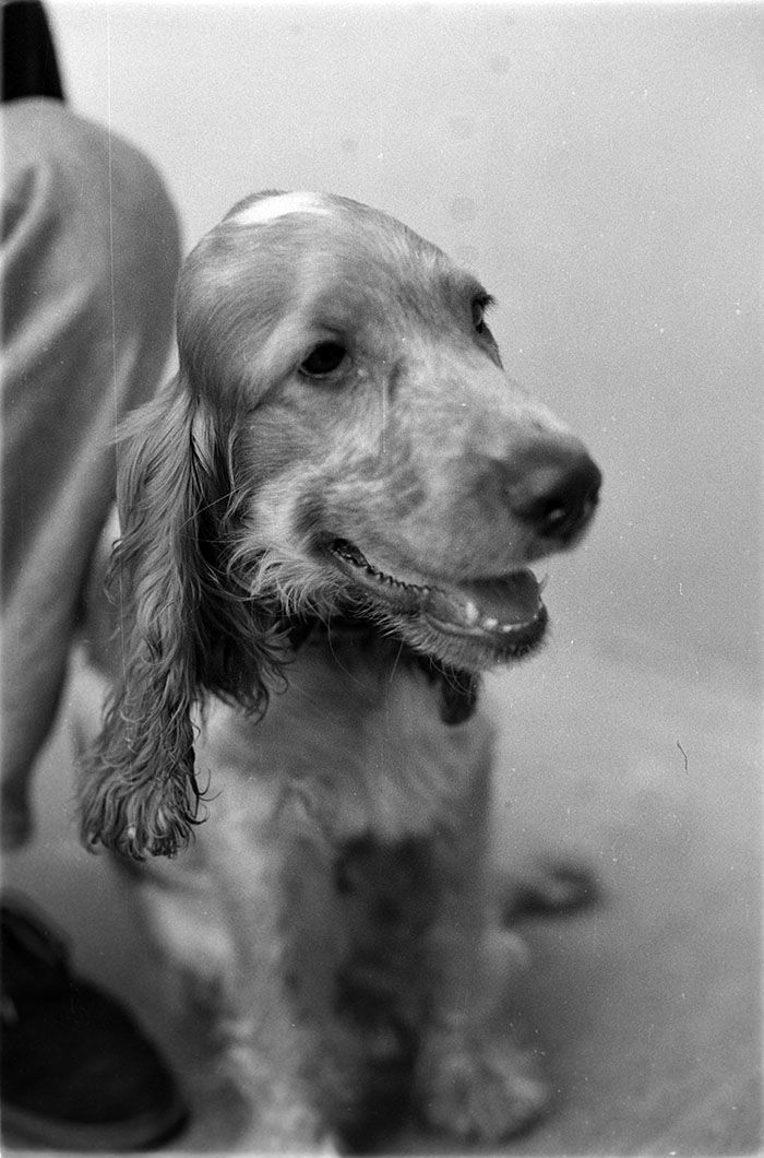 minerva_1988_industrie_c5r3_027