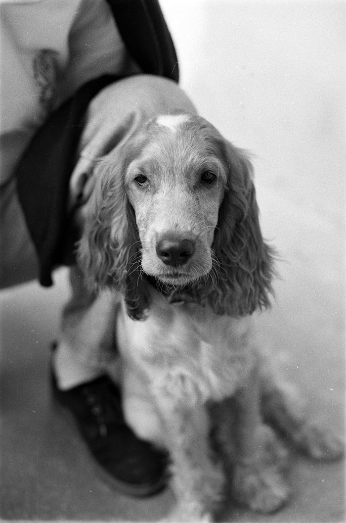 minerva_1988_industrie_c5r3_029