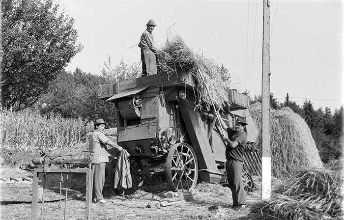 minerva_1988_industrie_c5r5_003