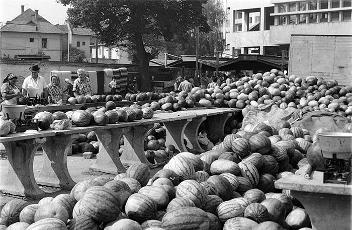 minerva_1988_industrie_c5r7_013