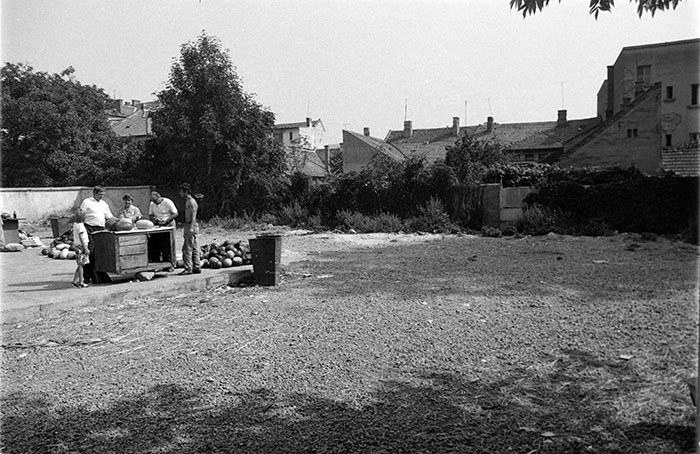 minerva_1988_industrie_c5r7_015