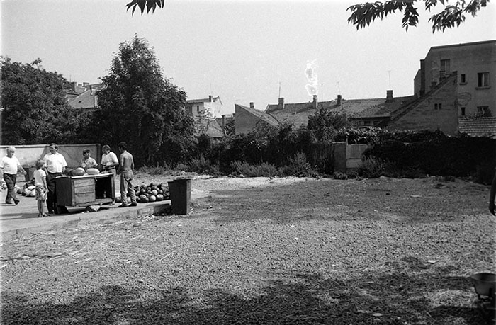 minerva_1988_industrie_c5r7_016