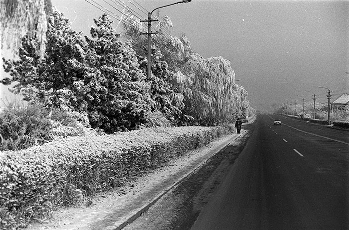 minerva_1988_industrie_c6r11_007