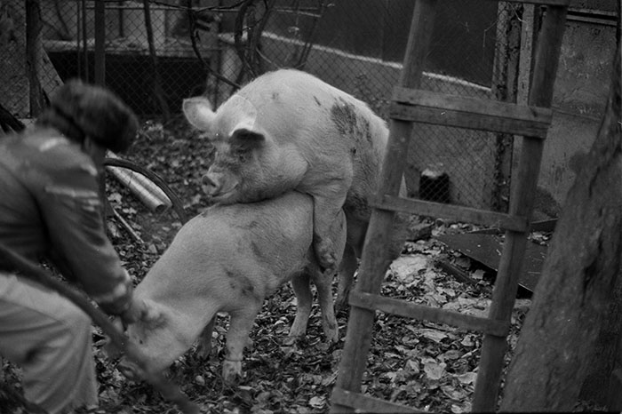 minerva_1988_industrie_c6r15_001