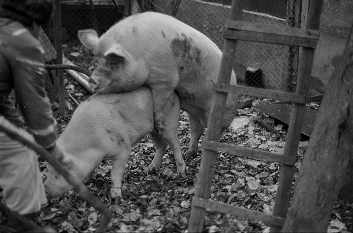 minerva_1988_industrie_c6r15_002