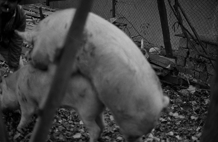 minerva_1988_industrie_c6r15_003