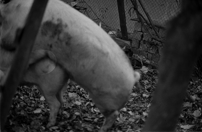 minerva_1988_industrie_c6r15_004