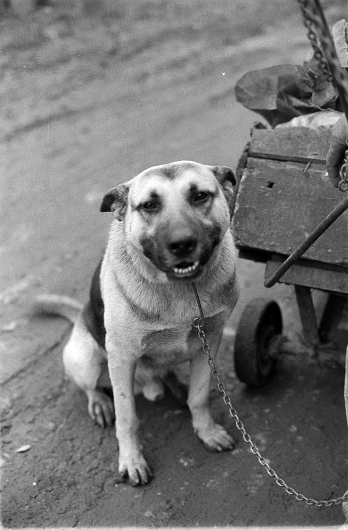 minerva_1988_industrie_c6r15_005