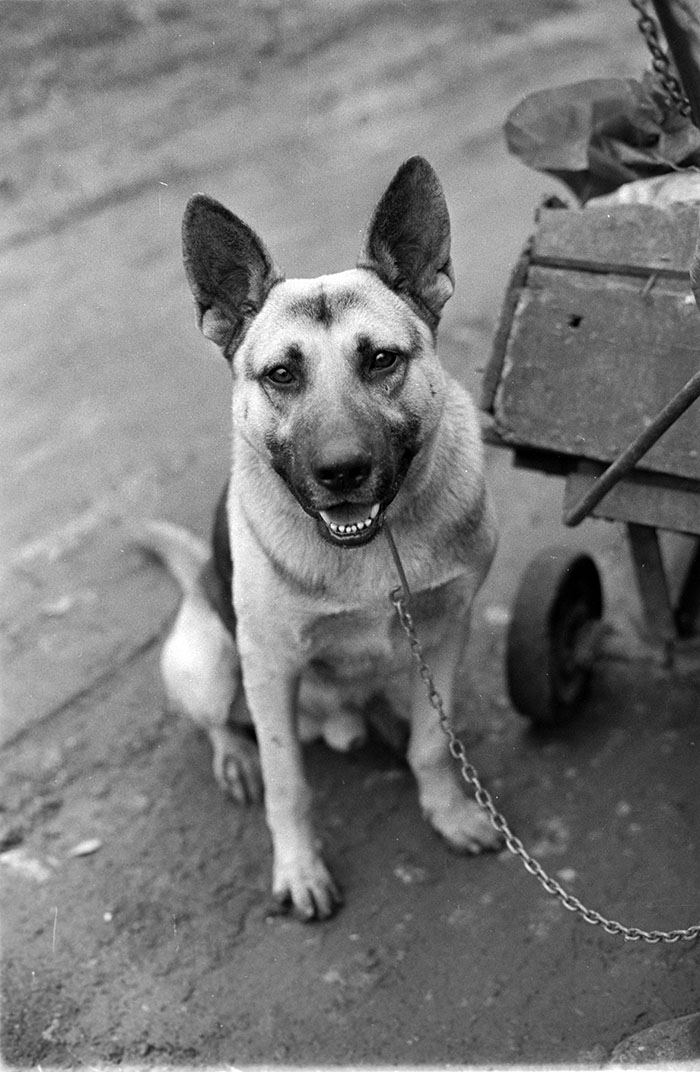 minerva_1988_industrie_c6r15_006