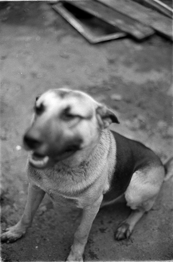 minerva_1988_industrie_c6r15_007