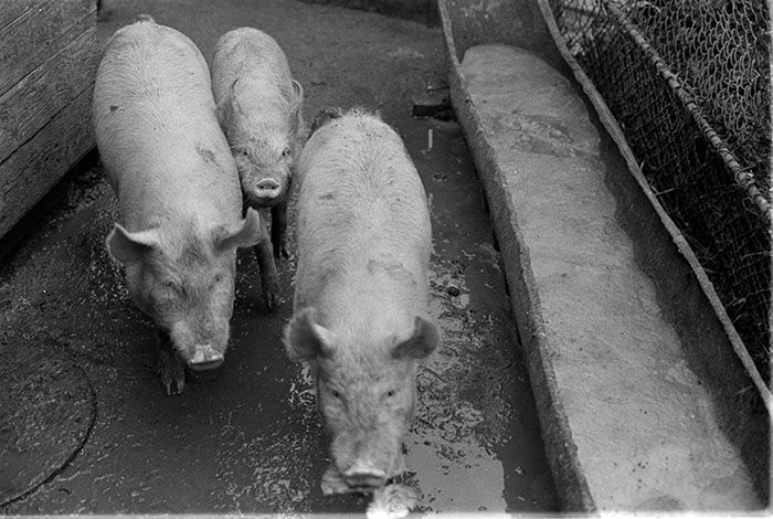 minerva_1988_industrie_c6r15_043