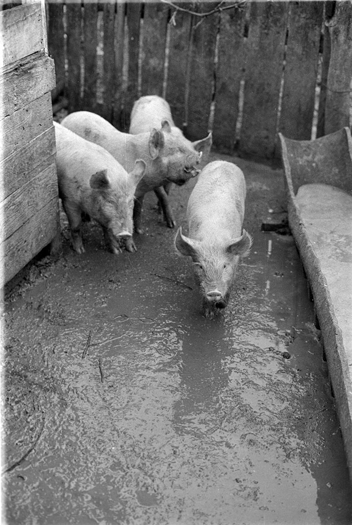 minerva_1988_industrie_c6r15_045