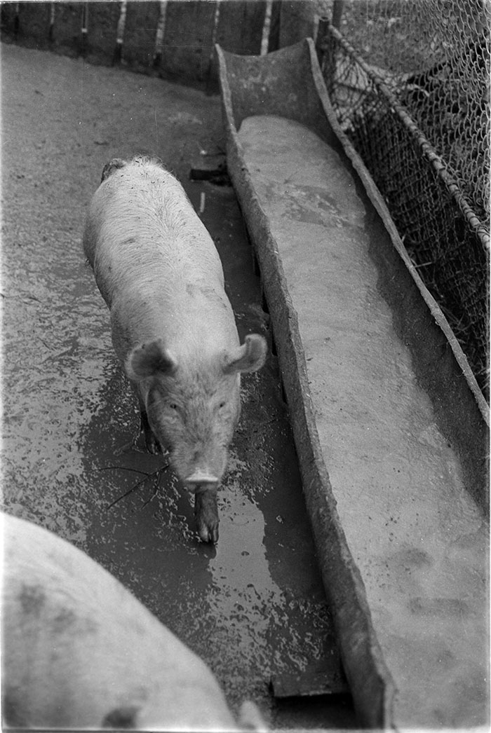 minerva_1988_industrie_c6r15_046