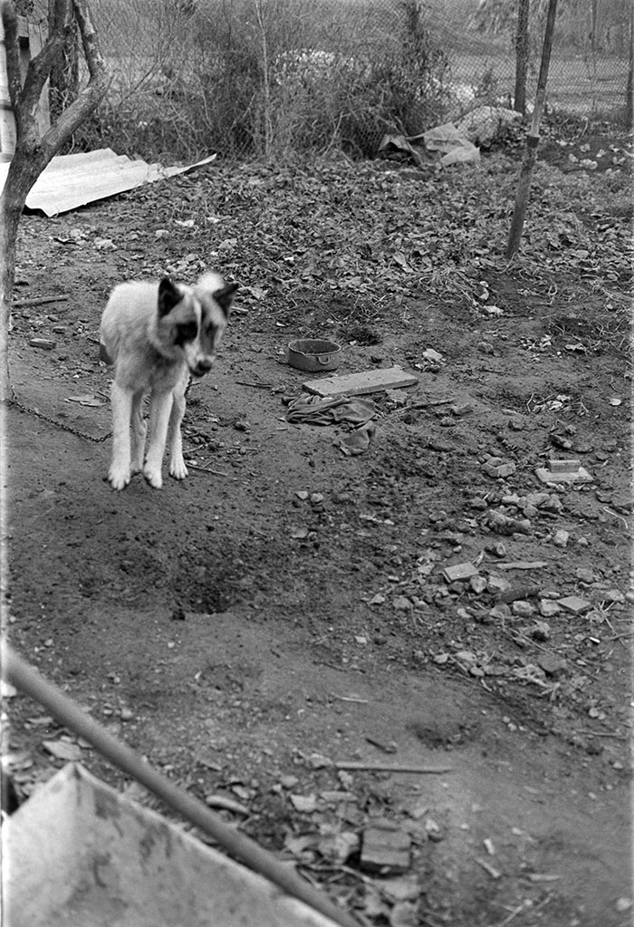 minerva_1988_industrie_c6r15_048