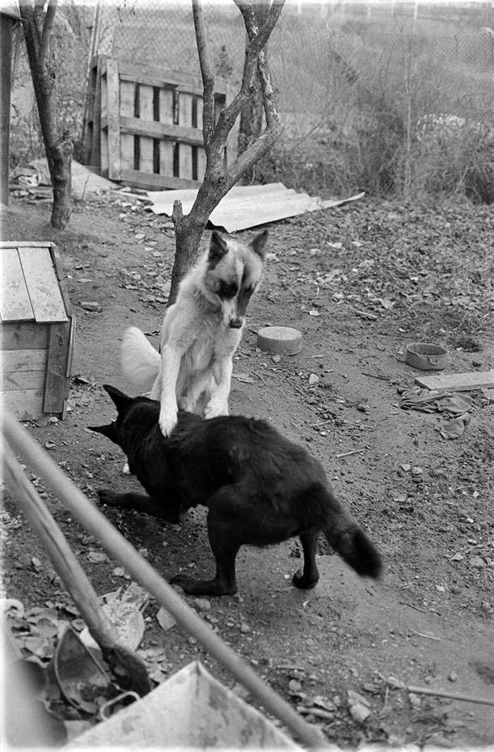 minerva_1988_industrie_c6r15_049