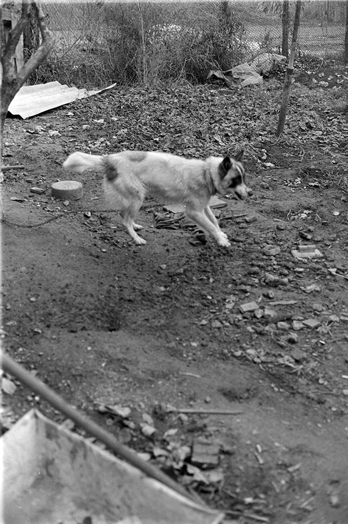 minerva_1988_industrie_c6r15_051