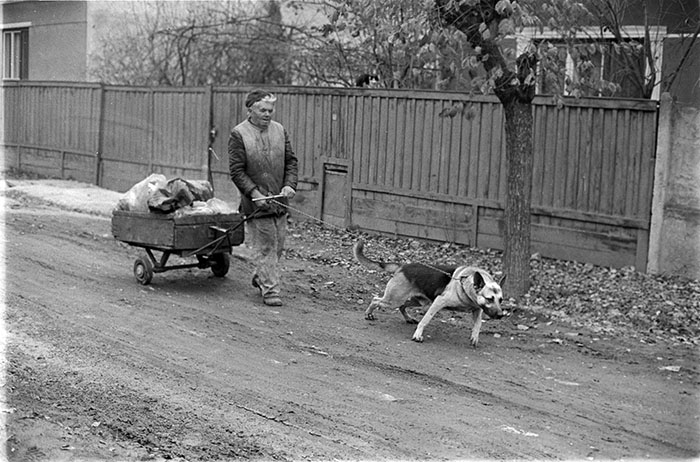 minerva_1988_industrie_c6r15_052