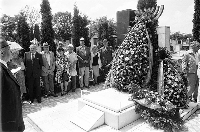 minerva_1988_industrie_c6r5_029