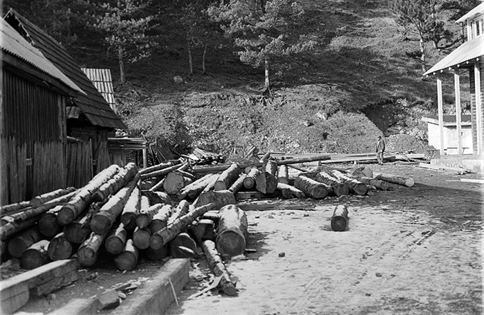 minerva_1988_industrie_c6r7_014