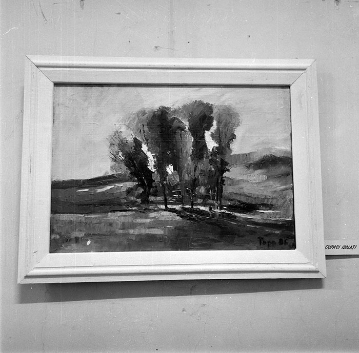 minerva_1988_invatamant_cultura_arta_diverse_c1r4_003