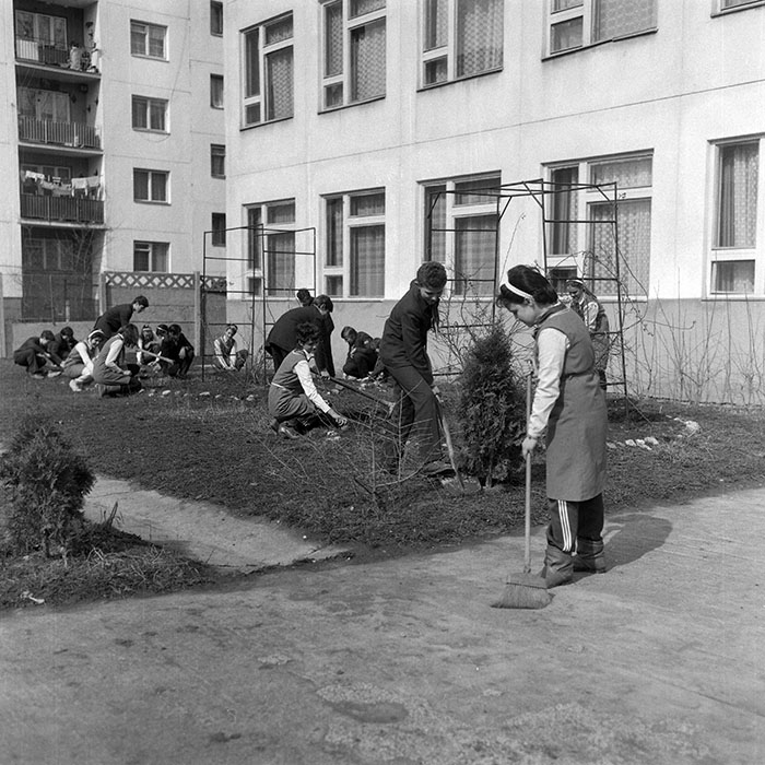 minerva_1988_invatamant_cultura_arta_diverse_c1r5_016