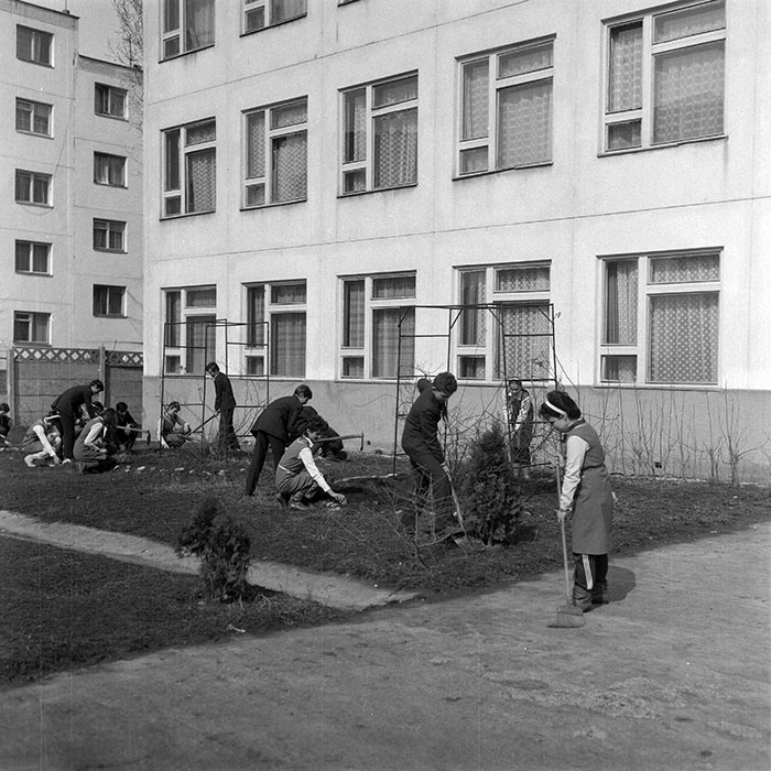 minerva_1988_invatamant_cultura_arta_diverse_c1r5_017