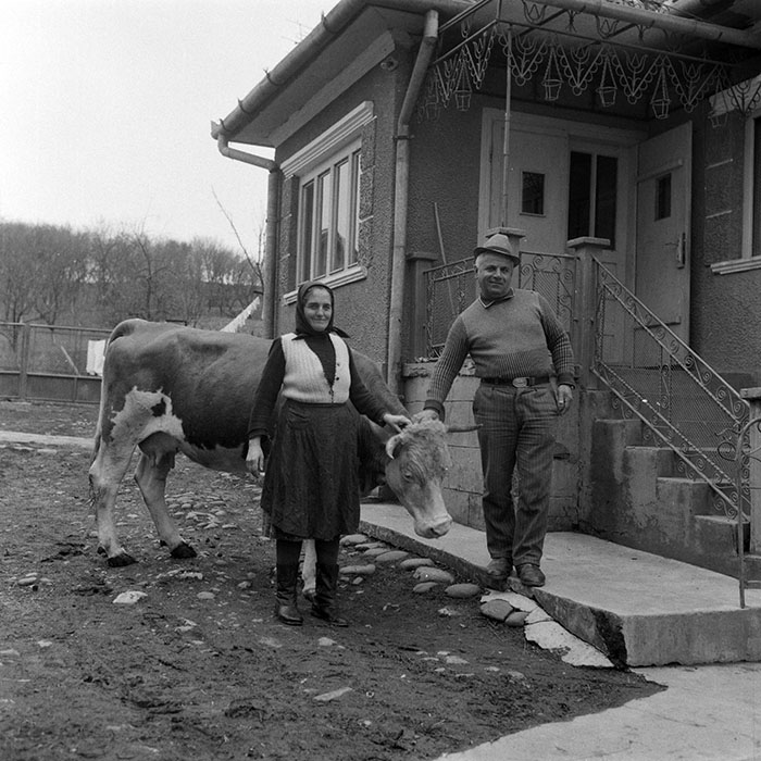 minerva_1988_invatamant_cultura_arta_diverse_c2r2_004