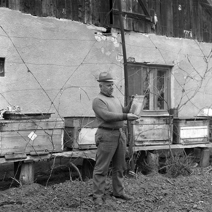 minerva_1988_invatamant_cultura_arta_diverse_c2r2_006