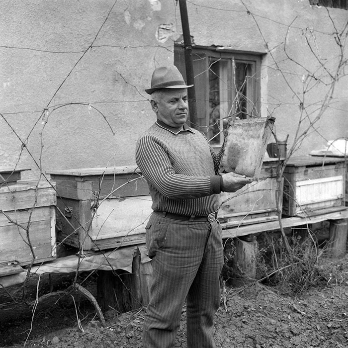 minerva_1988_invatamant_cultura_arta_diverse_c2r2_007