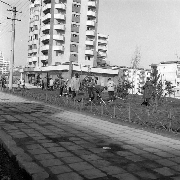 minerva_1988_invatamant_cultura_arta_diverse_c2r2_008