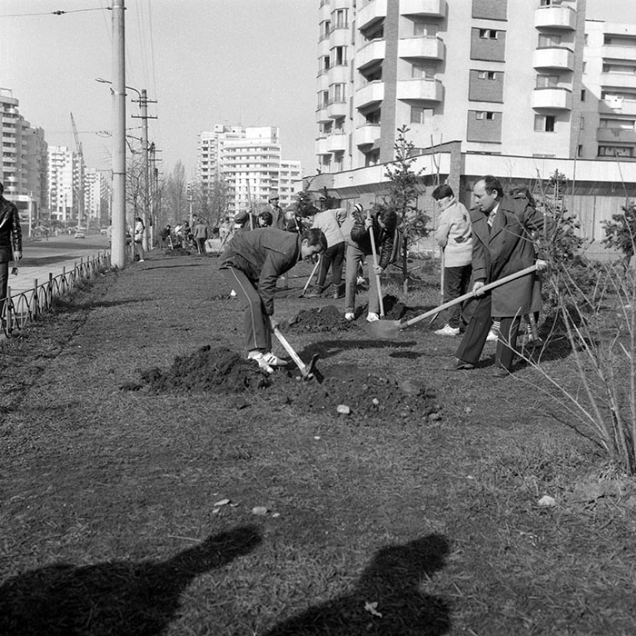 minerva_1988_invatamant_cultura_arta_diverse_c2r2_009