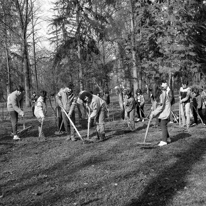 minerva_1988_invatamant_cultura_arta_diverse_c2r2_011