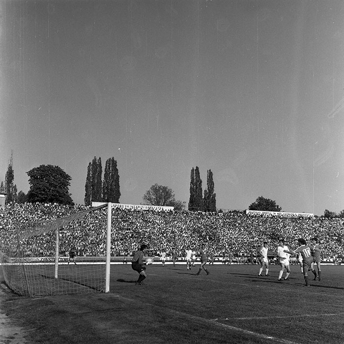 minerva_1988_invatamant_cultura_arta_diverse_c3r5_004