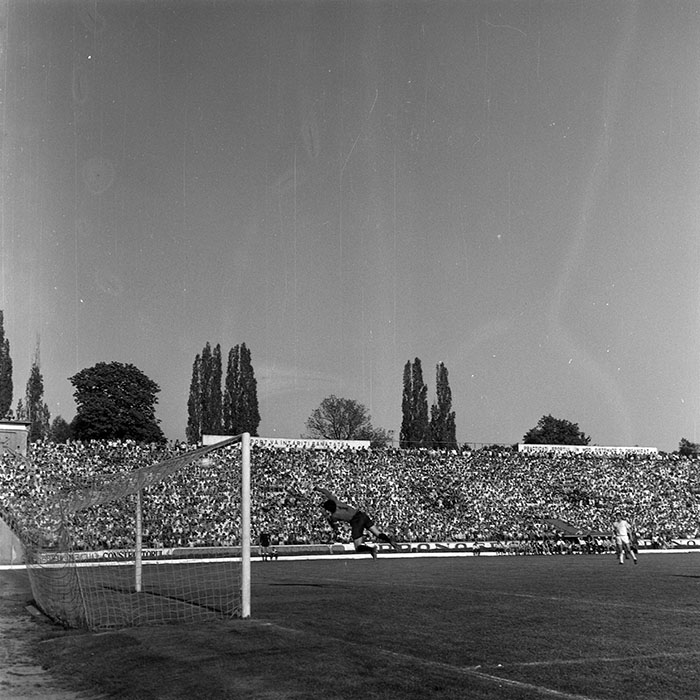 minerva_1988_invatamant_cultura_arta_diverse_c3r5_005