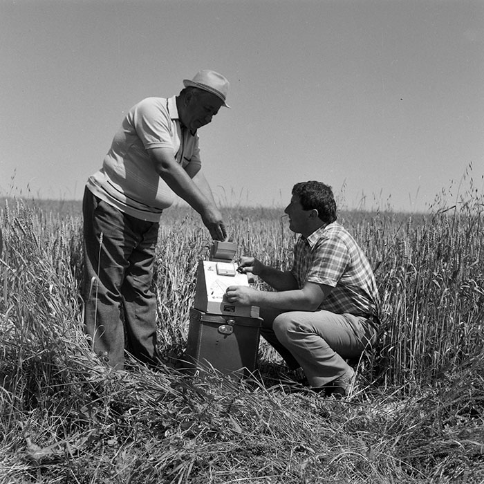 minerva_1988_invatamant_cultura_arta_diverse_c4r3_002