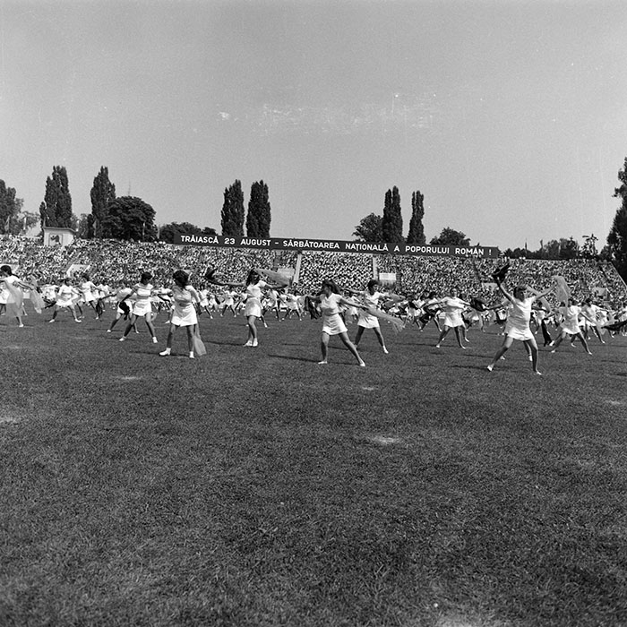 minerva_1988_invatamant_cultura_arta_diverse_c4r4_012