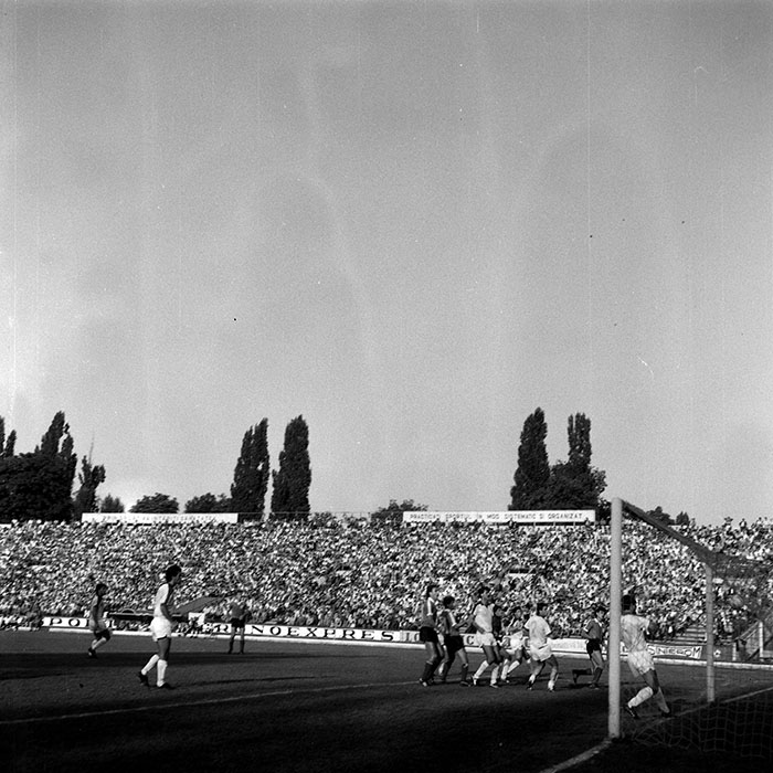 minerva_1988_invatamant_cultura_arta_diverse_c5r4_005