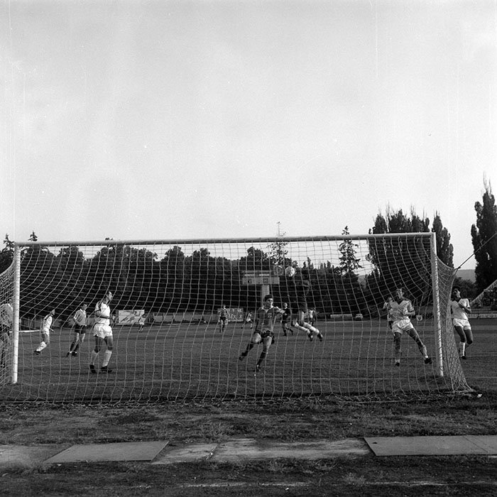 minerva_1988_invatamant_cultura_arta_diverse_c5r4_006