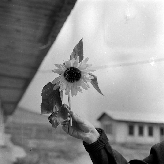 minerva_1988_invatamant_cultura_arta_diverse_c5r5_001