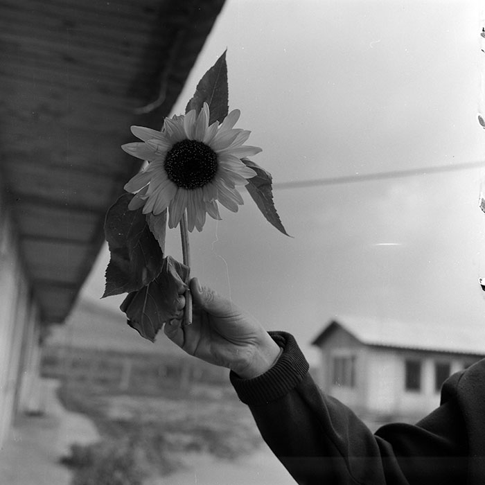 minerva_1988_invatamant_cultura_arta_diverse_c5r5_002