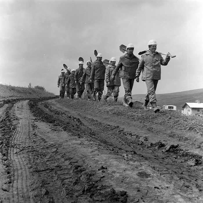 minerva_1988_invatamant_cultura_arta_diverse_c5r5_007