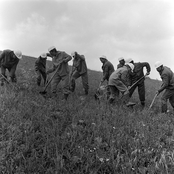 minerva_1988_invatamant_cultura_arta_diverse_c5r5_008