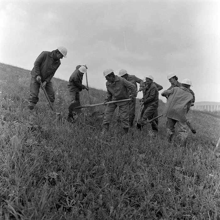 minerva_1988_invatamant_cultura_arta_diverse_c5r5_009