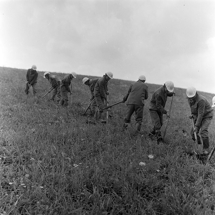 minerva_1988_invatamant_cultura_arta_diverse_c5r5_010