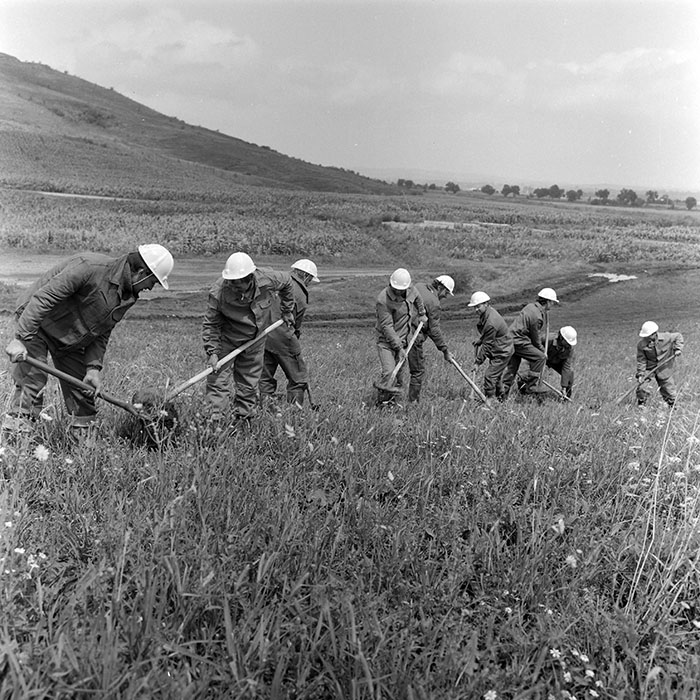 minerva_1988_invatamant_cultura_arta_diverse_c5r5_011