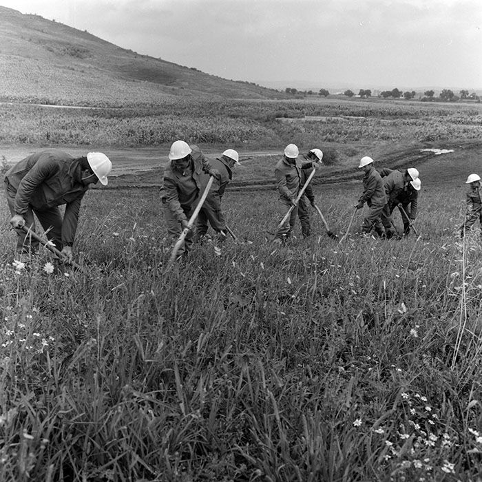 minerva_1988_invatamant_cultura_arta_diverse_c5r5_012