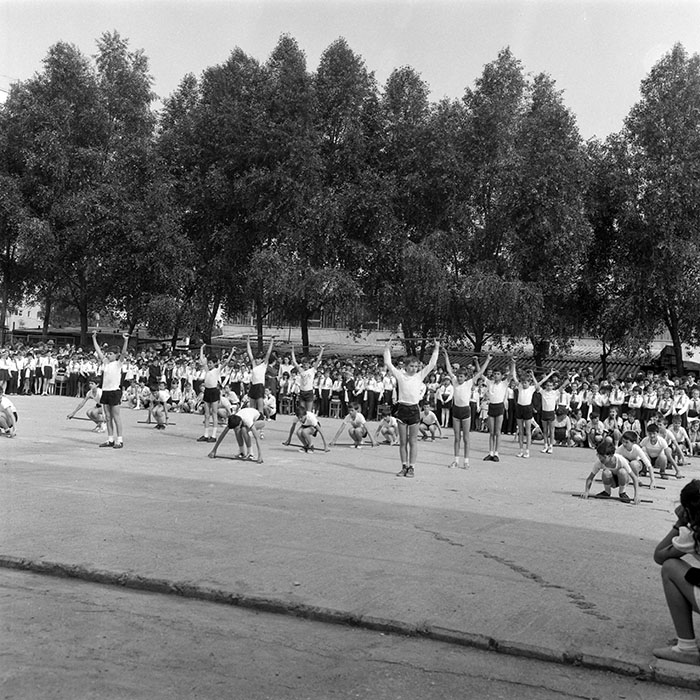 minerva_1988_invatamant_cultura_arta_diverse_c6r2_007